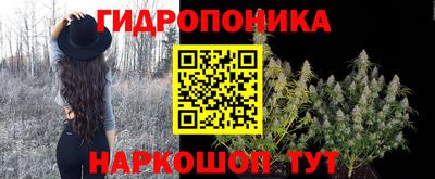марки lsd Заводоуковск